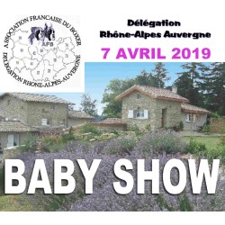 07/04/2019 - Baby-show à...